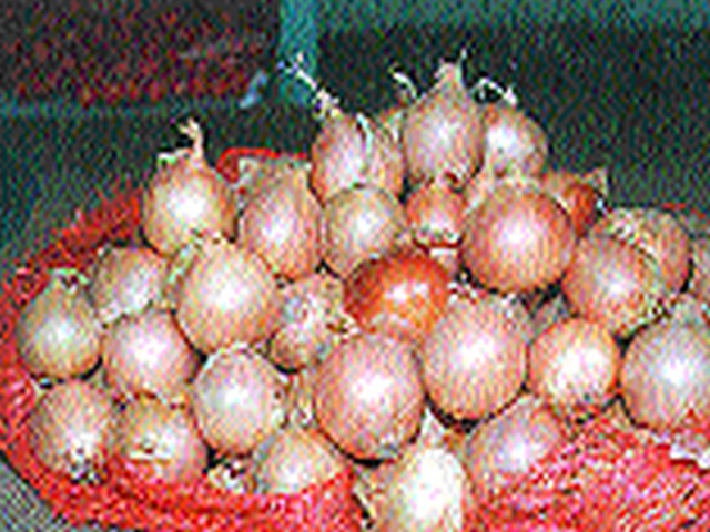 Decrease onion season | वणीत कांदा आवकेत घट