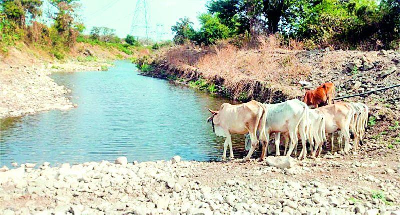 Ground water shortage in Karanja taluka | कारंजा तालुक्यात भीषण पाणीटंचाई