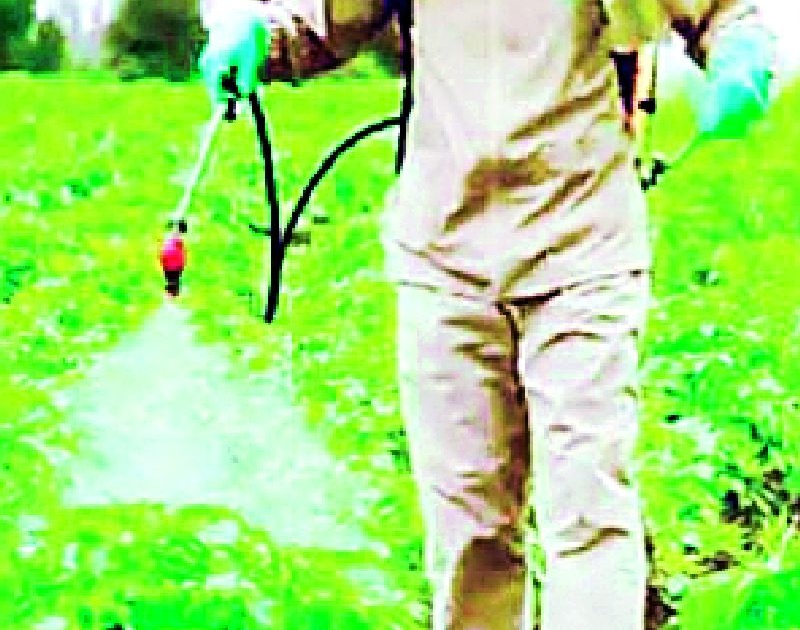 Alert the system on poisoning by spraying pesticides | कीटकनाशक फवारणीतून विषबाधेवर यंत्रणा सतर्क