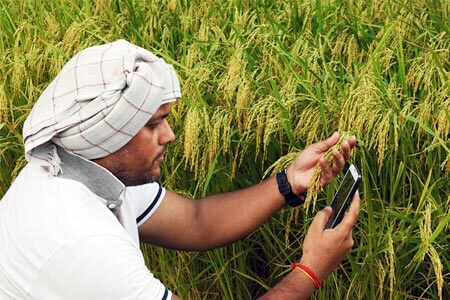 India's farmers commit suicide: 'Save Indian Farmers' | दृष्टिकोन - भारतातील शेतकऱ्यांच्या आत्महत्या ‘अन् सेव्ह इंडियन फार्मर्स’