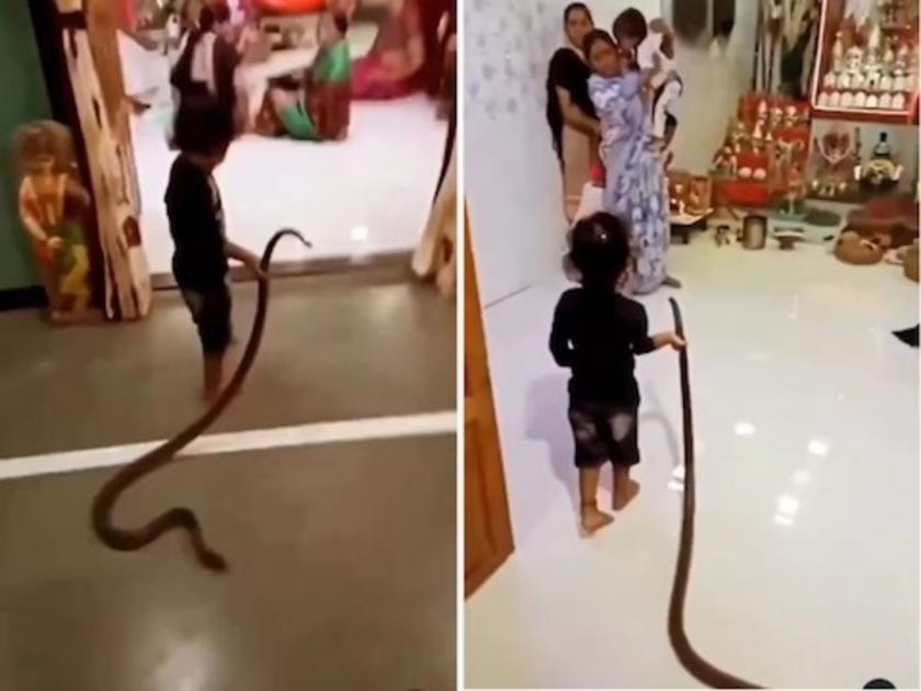 Child entered the temple by holding a snake like a rope people shocked | सापाला दोरीसारखा खेचत मंदिरात घेऊन गेला लहान मुलगा, बघून भक्तांची बोलती बंद