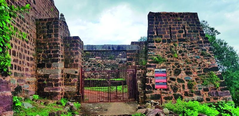 The Forts in Vidarbha are ignored by archaeological department | विदर्भातील पुरातत्त्व विभागाचे आरक्षित गड-किल्ले, झुडपे अन् वेलींच्या हवाली