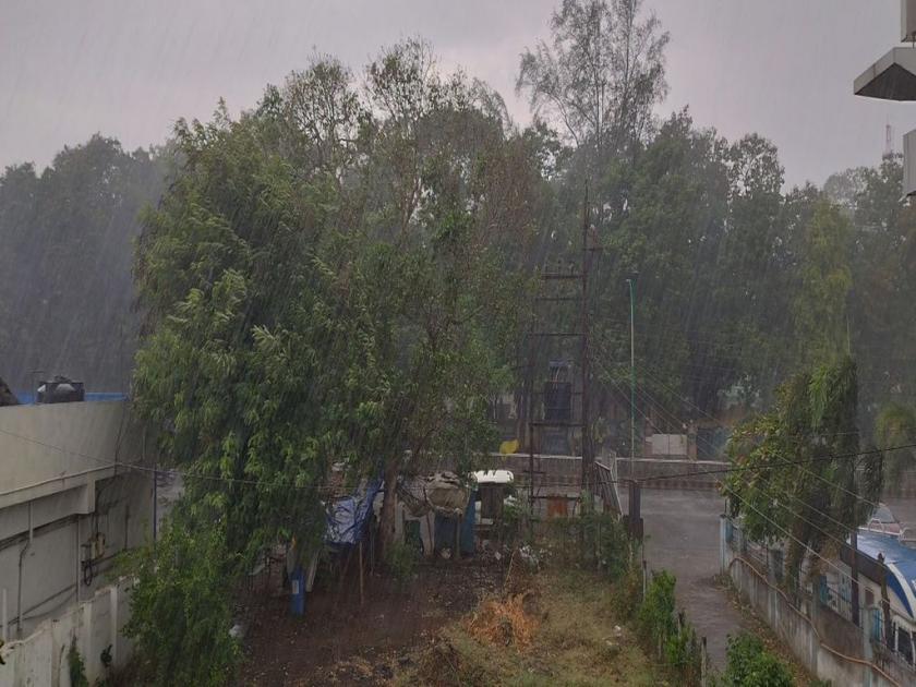 Anandsari in Vidarbha; Where strong, where light rain | विदर्भात आनंदसरी; कुठे दमदार, तर कुठे हलका पाऊस