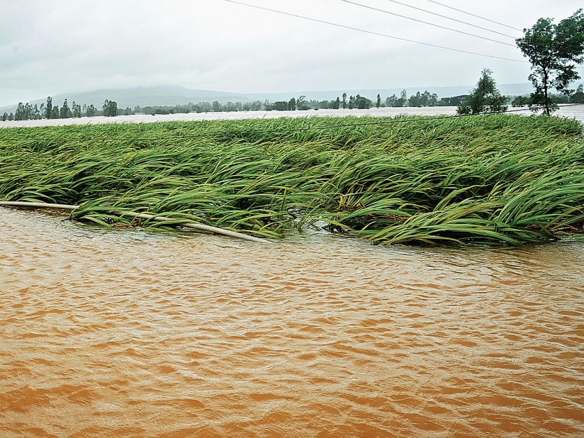 Damage to crops on 4 lakh hectares | २ लाख हेक्टरवरील पिकांचे नुकसान