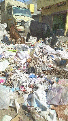 After fixing the machines for Aurangabad's waste, | औरंगाबादच्या कचऱ्यासाठी अखेर यंत्रे घेण्याचे निश्चित