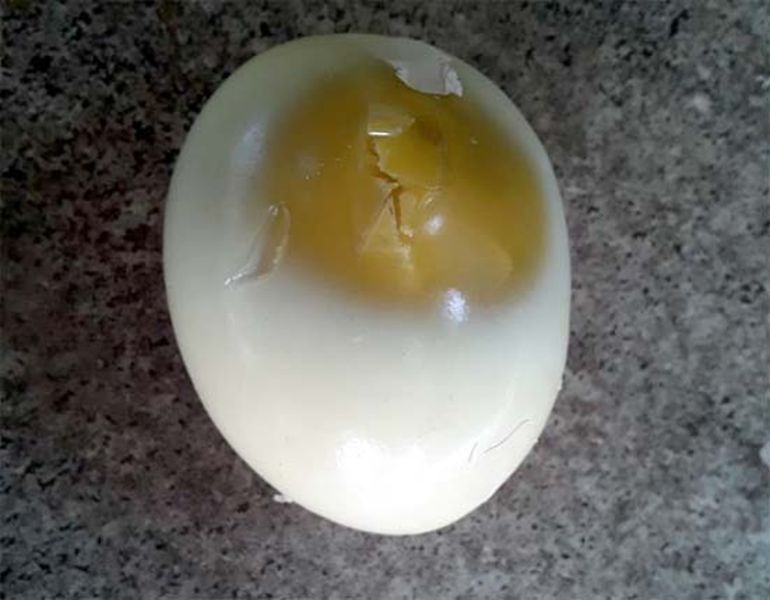 duplicate eggs found in mozari in Wardha district | वर्धा जिल्ह्यातील मोझरीत आढळली बनावट अंडी