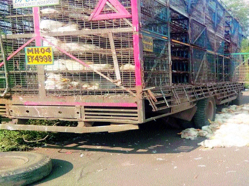  Three henchmen died after overturning truck | ट्रक उलटून ४०० कोंबड्या मृत्युमुखी