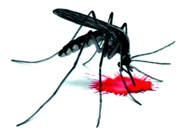 Dengue! Nagpur Municipal Corporation's leader's daughter affected | नागपूर मनपाचे सत्तापक्ष नेते जोशी यांच्या मुलीला डेंग्यू