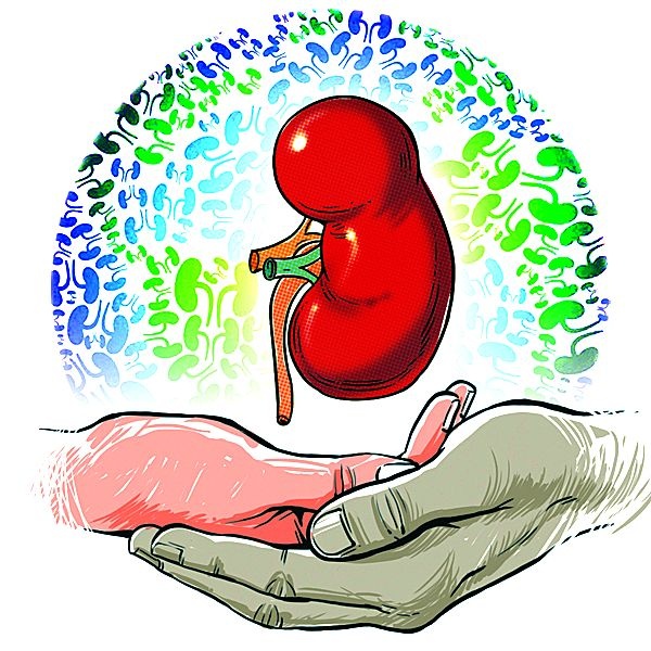 Digging RTO for organ donation campaign in the state | राज्यातील अवयवदान मोहिमेला आरटीओचा खोडा