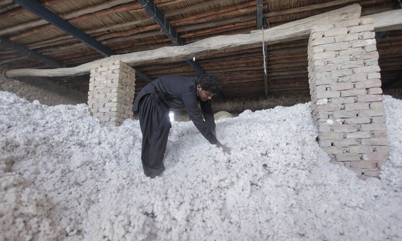 Cotton procurement in Nagpur district will be completed in twenty days | नागपूर जिल्ह्यातील कापूस खरेदी वीस दिवसात पूर्ण होणार