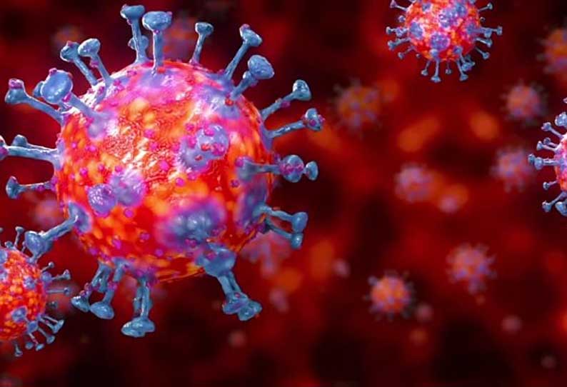 Coronavirus: Coronavirus can spread again on cold days; Likely to prolong Corona's fight | Coronavirus: थंडीच्या दिवसांत कोरोना पुन्हा फैलावू शकतो; कोरोनाचा लढा लांबण्याची शक्यता