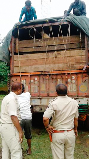 A truck carrying 54 animals caught | ५४ जनावरे घेऊन जाणारा ट्रक पकडला