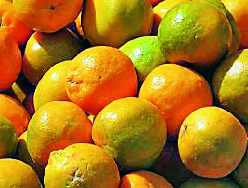 Vidarbha's orange process will be beneficial | विदर्भातील संत्र्याला प्रक्रियेचा होणार फायदा