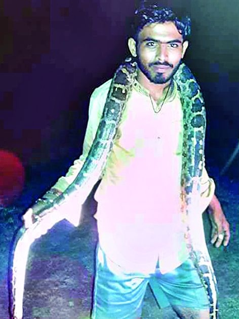 The youth arrested for the photo snake with dead snake were arrested | मृत अजगरासोबत फोटोसेशन करणाऱ्या तरुणास अटक