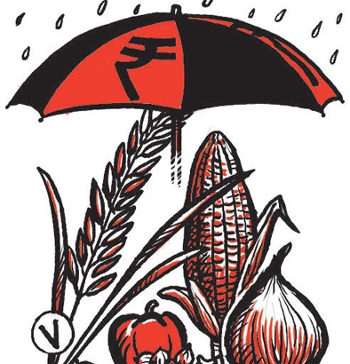 Beed district topped the list in the implementation of Prime Minister's Crop Insurance Scheme | प्रधानमंत्री पीक विमा योजनेच्या अंमलबजावणीत बीड जिल्हा देशात अव्वल