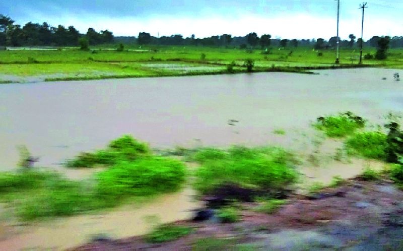 Seven irrigation projects in the district | जिल्ह्यातील सात सिंचन प्रकल्प तुडूंब