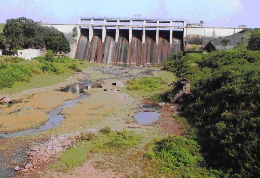 Nashik district has 10 percent water for dams | नाशिक जिल्ह्यातील धरणांमध्ये जेमतेम १० टक्के पाणी