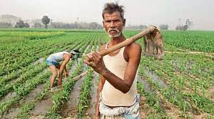 Farmers' work in Pimpalgaon Wakhari was disrupted | पिंपळगाव वाखारीत शेतकऱ्यांची कामे खोळंबली