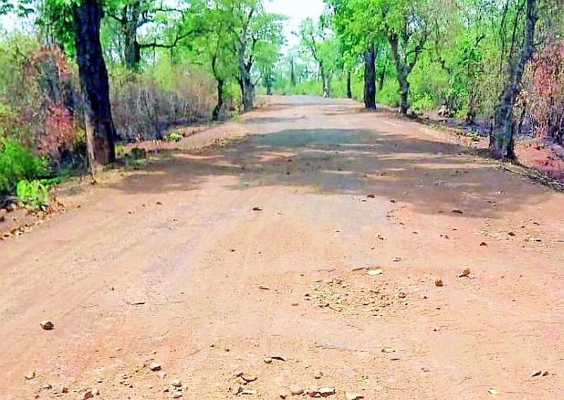 The plight of the Talegaon-Rajoli route | तळेगाव-राजोली मार्गाची दुर्दशा