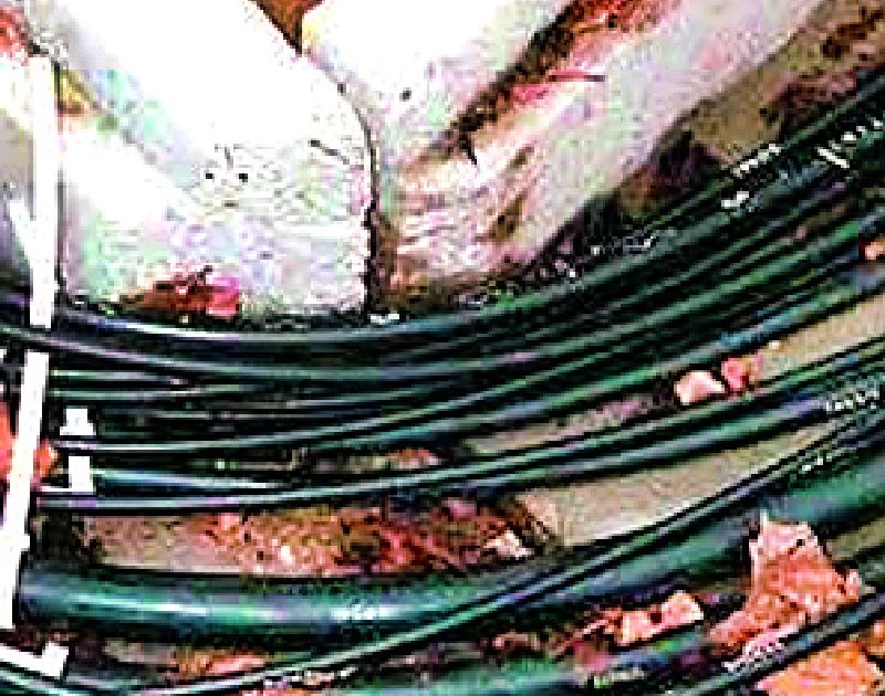 Plastic coated power cable | प्लास्टिक कोटेड वीज केबल