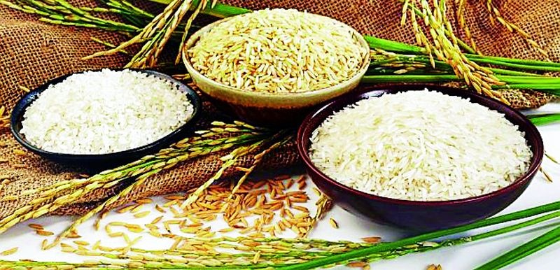 Marda Sharada Rice Mill along with Paddy Bhadai contract cancellation | मॉ शारदा राईस मिलसोबतचा धान भरडाईचा करारनामा रद्द