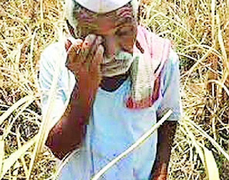 26 thousand farmers are eligible for help | २६ हजार शेतकरी मदतीसाठी पात्र