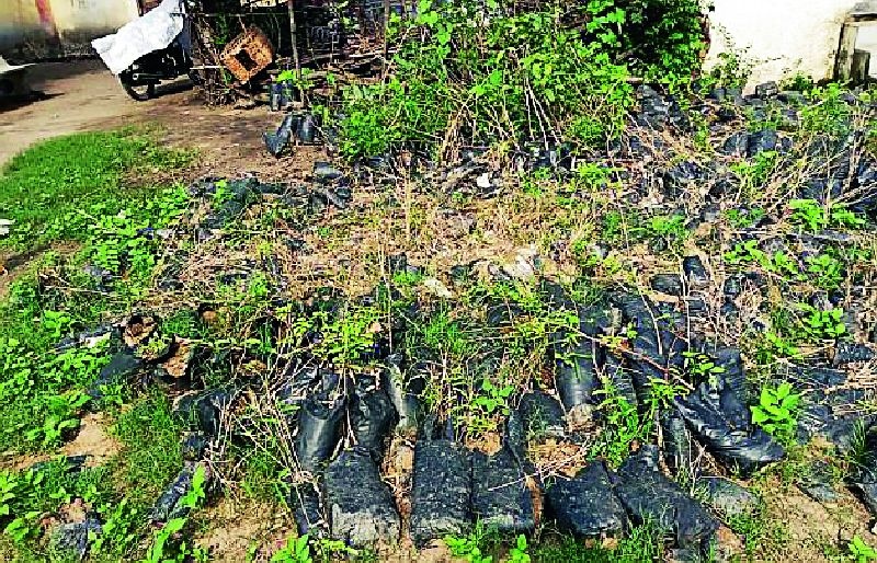Illur gram panchayat has turned its back on tree planting | इल्लुर ग्रामपंचायतीने वृक्ष लागवडीकडे फिरविली पाठ