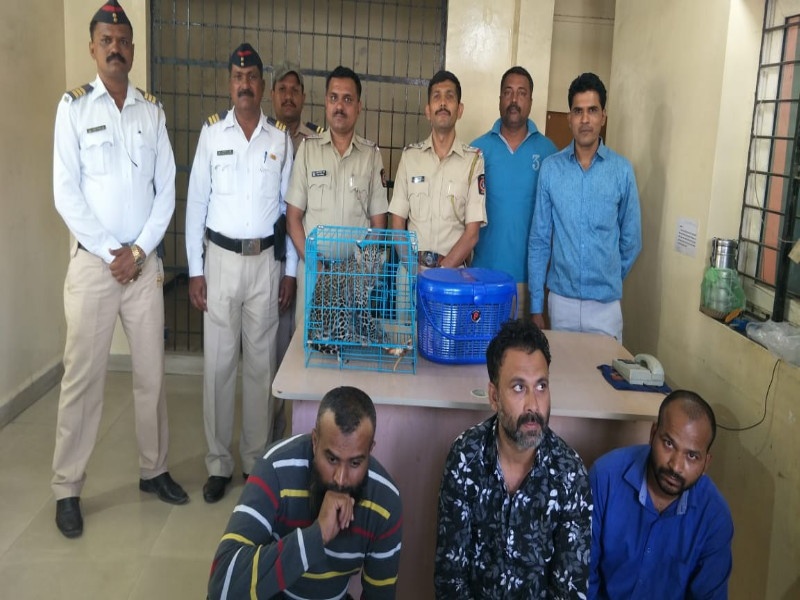 Three person arrested in case of smuggling leopard near Khed Shivapur toll plaza | खेड शिवापूर टोल नाक्याजवळ बिबट्याच्या पिलांची तस्करी करणारे तिघे जेरबंद
