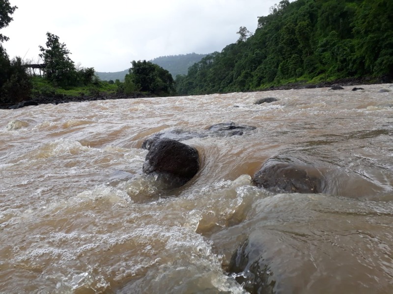 Rainfall of Peth taluka increased | पेठ तालुक्यात पावसाचा जोर वाढला