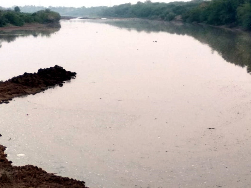 Parbhani: The water of 'Siddheshwar' reached Kolhapuri Bhendre | परभणी : ‘सिद्धेश्वर’चे पाणी पोहोचले कोल्हापुरी बंधाऱ्यात