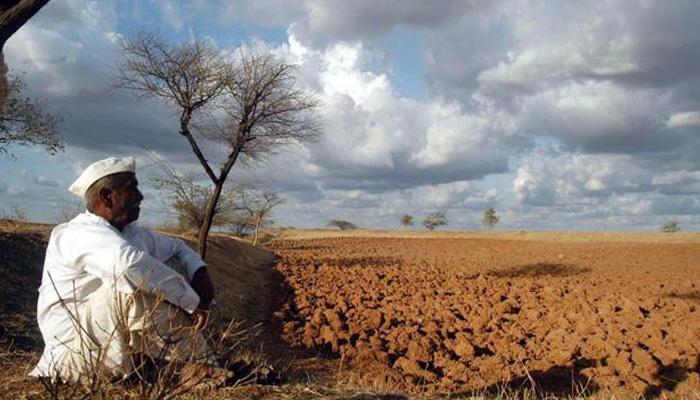 Crop damage basis for declaring drought | दुष्काळ जाहीर करण्यासाठी पिक नुकसानीचा आधार