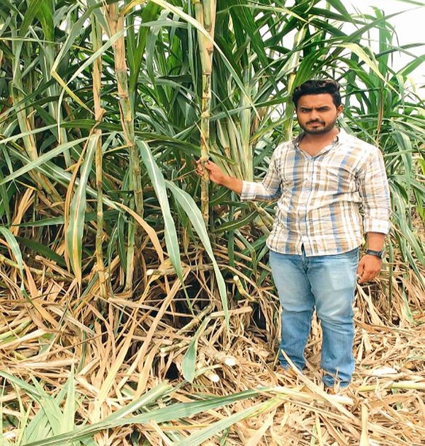 10001 plantation of sugarcane |   उसाच्या १०००१ रोपाची निर्मिती