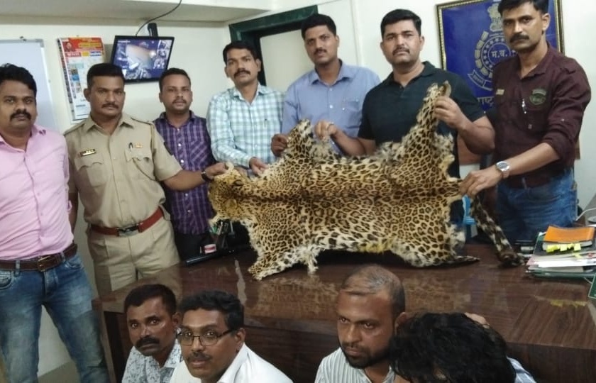  Four of the sellers of leopard sticks to Thane's Junk | बिबट्याची कातडी विकणाऱ्यां चौघांना ठाणेच्या येऊर वनाधिकाऱ्यांकडून अटक