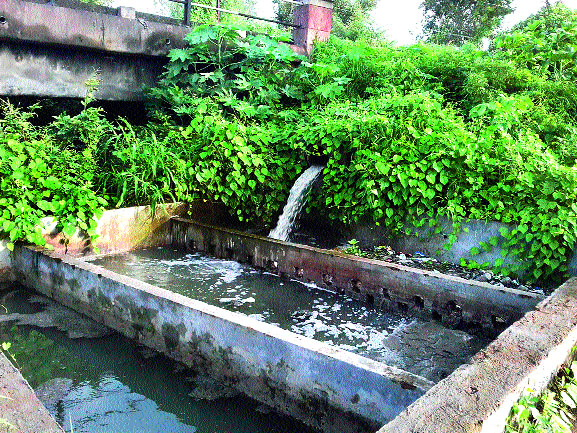  Gutter water from Bhagur and Camp area | भगूर, कॅम्प भागातूून दारणात गटारीचे पाणी