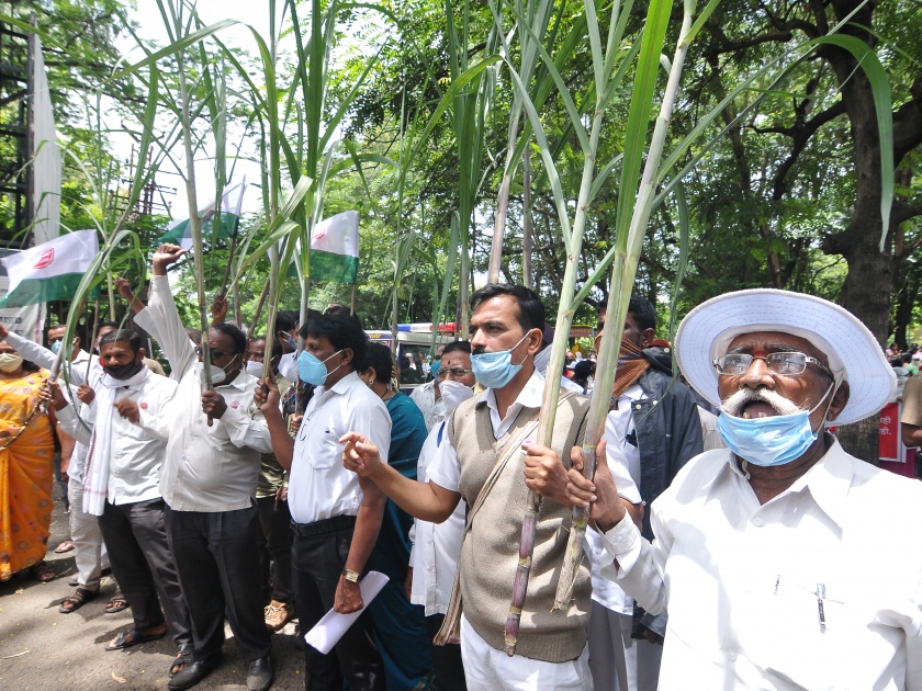 Declare sugarcane FRP early | ऊसाची एफआरपी लवकर जाहीर करा