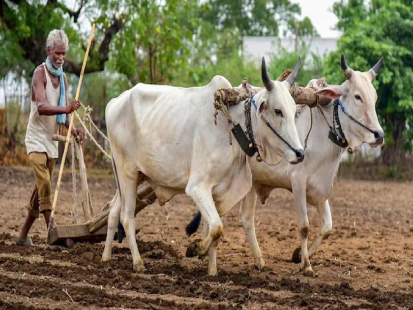 63 thousand farmers in the trap of moneylending loans | ६३ हजारांवर शेतकरी सावकारी कर्जाच्या पाशात