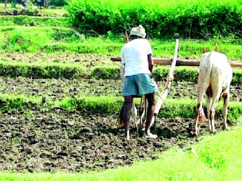 Waiting for debt relief for ten thousand farmers | दहा हजार शेतकऱ्यांना कर्जमाफीची प्रतीक्षा