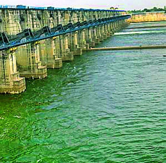 22% water storage in irrigation projects | सिंचन प्रकल्पांत २२ टक्के जलसाठा