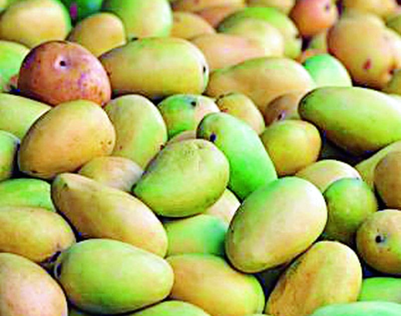 Due to lack of mangoes, the taste becomes expensive | आंब्याची आवक घटल्याने चव महागली