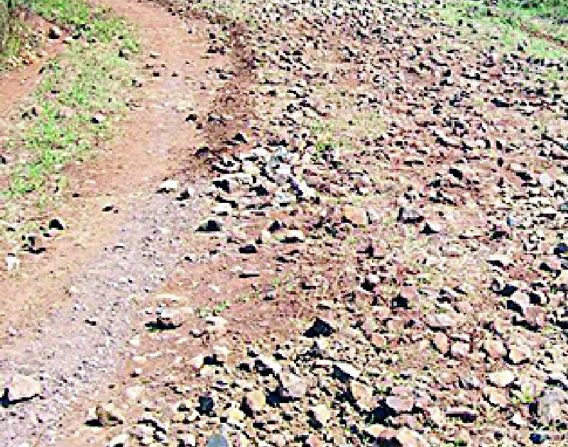 Due to the absence of the road, the incident of the Kolam tribals of the hill | रस्त्याअभावी पहाडावरील कोलाम आदिवासींचे हाल