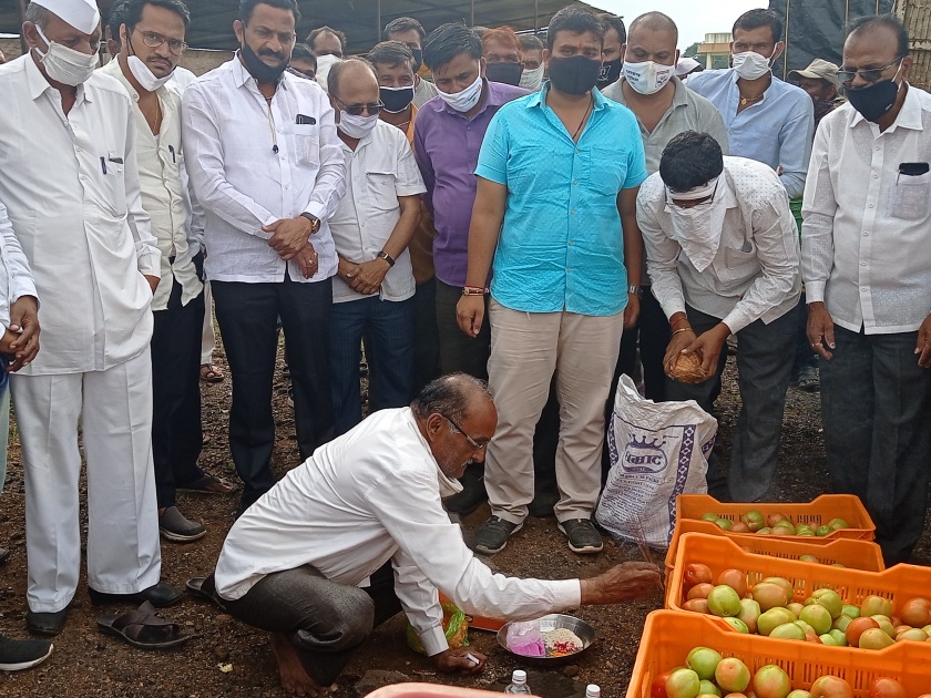 Launch of Tomato Purchase in Dindori | दिंडोरीत टमाटा खरेदी-विक्रीचा शुभारंभ