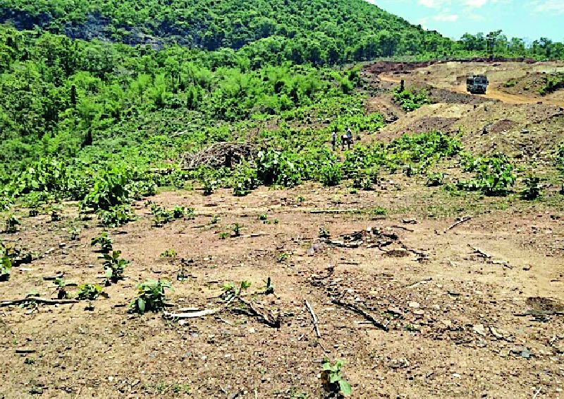 The department of forest department led to the failure of the iron ore project | वनविभागाच्या दफ्तरदिरंगाईने लोहखनिज प्रकल्प अडचणीत