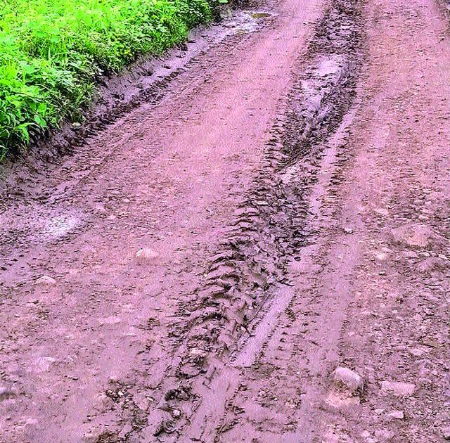Poor condition of Shivar roads in Nandurshingote | नांदूरशिंगोटेत शिवार रस्त्यांची दुरवस्था