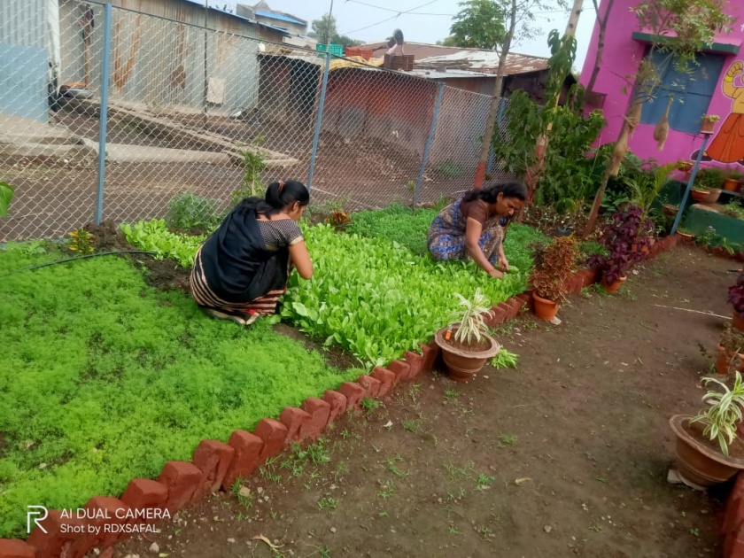 Anganwadi workers in Pimpalgaon cooked organic vegetables | पिंपळगावी अंगणवाडी सेविकांनी पिकविला सेंद्रिय भाजीपाला