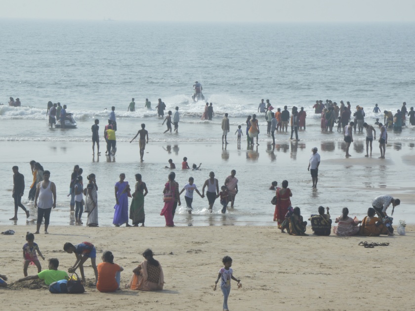 Ratnagiri: The flow of Moharram and the rising waves, it is the contribution of free Konkan for tourists | रत्नागिरी : मोहोराचा दरवळ अन् उसळत्या लाटा, पर्यटकांसाठी मोकळ्या कोकणच्या वाटा