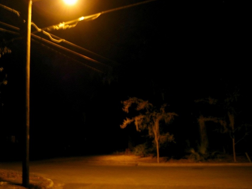 Power supply to street lights in 27 villages in Niphad | निफाडमधील २७ गावांतील पथदीपांचा वीजपुरवठा खंडित