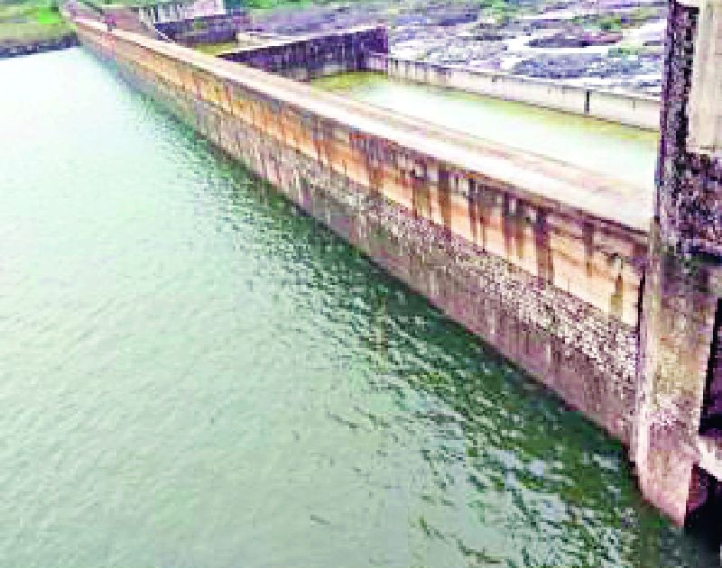 The livelihood of Pusad city dwellers is 5% water storage in Pus Dam | पुसद शहरवासीयांची जीवनदायिनी पूस धरणात ४६ टक्केच जलसाठा