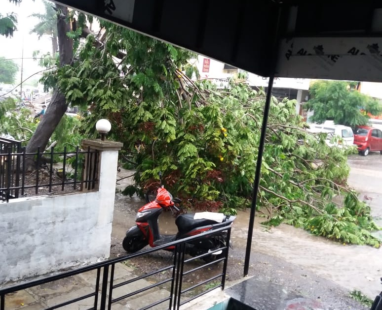 Heavy rains in Ahmednagar city in the afternoon; Trees fell in many places | अहमदनगर शहरात दुपारीच जोरदार पाऊस; अनेक ठिकाणी झाडे पडली