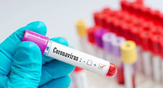 Corona virus: 1133 new corona infections in Pimpri Chinchwad on Tuesday; 13 died | Corona virus : पिंपरी चिंचवडमध्ये मंगळवारी ११३३ नवे कोरोनाबाधित; १३ जणांचा बळी