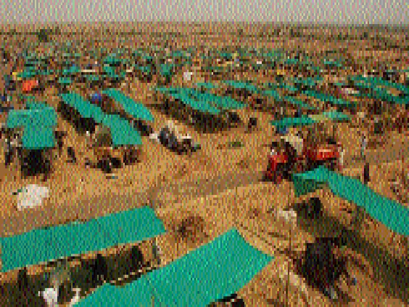 Start fodder camps, otherwise will not be approved | चारा छावण्या सुरू करा, अन्यथा मंजुरी होणार रद्द
